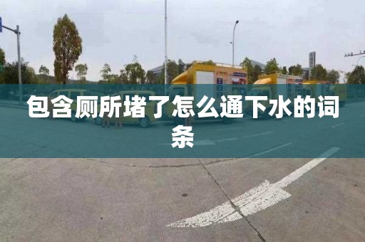 包含厕所堵了怎么通下水的词条