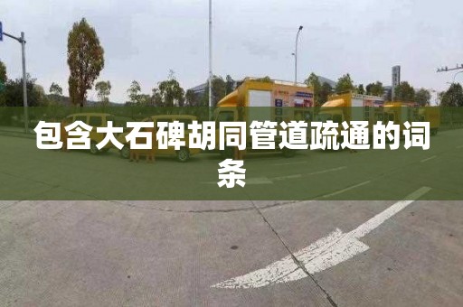 包含大石碑胡同管道疏通的词条