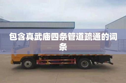 包含真武庙四条管道疏通的词条