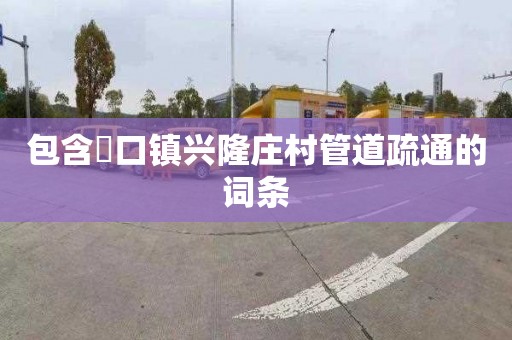 包含硲口镇兴隆庄村管道疏通的词条