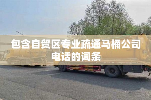 包含自贸区专业疏通马桶公司电话的词条