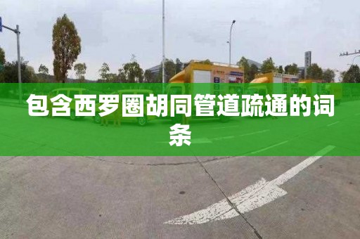 包含西罗圈胡同管道疏通的词条