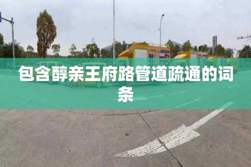 包含醇亲王府路管道疏通的词条