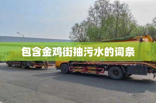包含金鸡街抽污水的词条