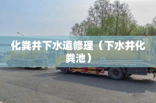 化粪井下水道修理（下水井化粪池）