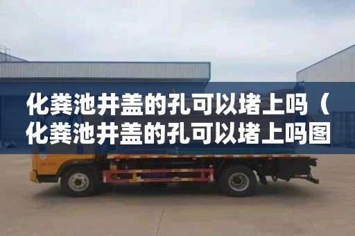 化粪池井盖的孔可以堵上吗（化粪池井盖的孔可以堵上吗图片）