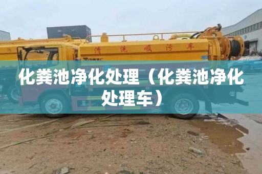 化粪池净化处理（化粪池净化处理车）