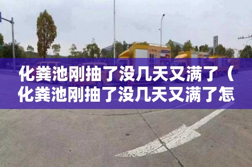 化粪池刚抽了没几天又满了（化粪池刚抽了没几天又满了怎么回事）