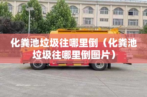化粪池垃圾往哪里倒（化粪池垃圾往哪里倒图片）