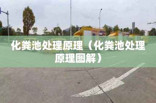 化粪池处理原理（化粪池处理原理图解）