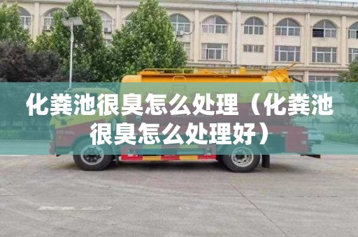 化粪池很臭怎么处理（化粪池很臭怎么处理好）