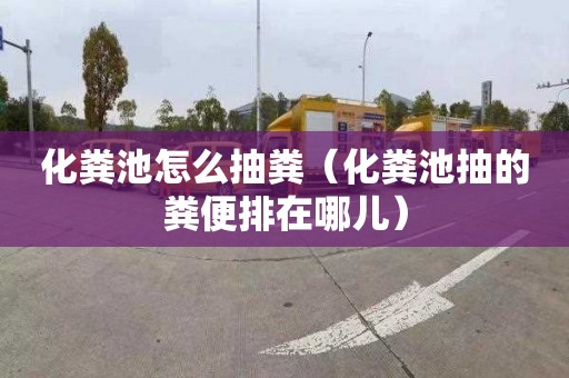 化粪池怎么抽粪（化粪池抽的粪便排在哪儿）