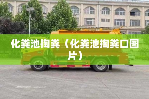 化粪池掏粪（化粪池掏粪口图片）