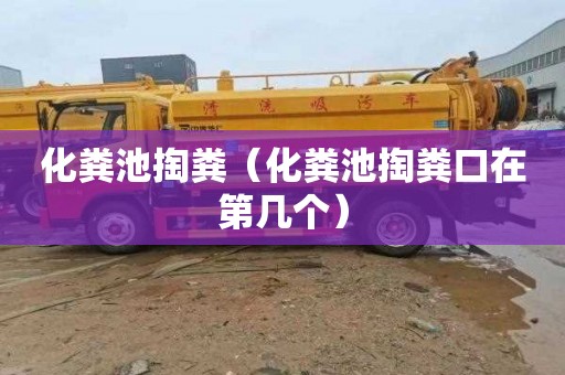 化粪池掏粪（化粪池掏粪口在第几个）