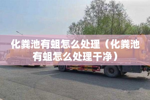 化粪池有蛆怎么处理（化粪池有蛆怎么处理干净）