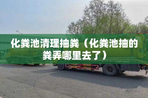 化粪池清理抽粪（化粪池抽的粪弄哪里去了）
