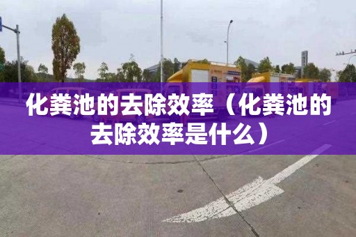 化粪池的去除效率（化粪池的去除效率是什么）