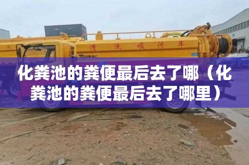 化粪池的粪便最后去了哪（化粪池的粪便最后去了哪里）