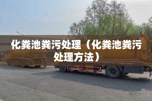 化粪池粪污处理（化粪池粪污处理方法）