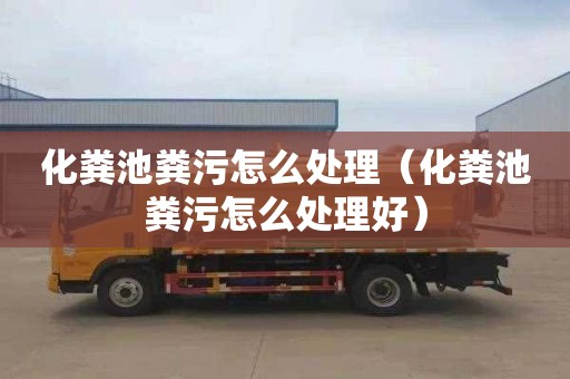 化粪池粪污怎么处理（化粪池粪污怎么处理好）