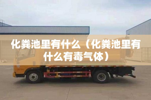 化粪池里有什么（化粪池里有什么有毒气体）