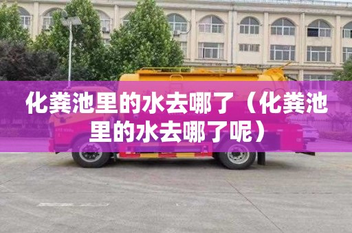 化粪池里的水去哪了（化粪池里的水去哪了呢）