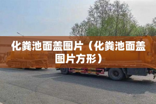 化粪池面盖图片（化粪池面盖图片方形）