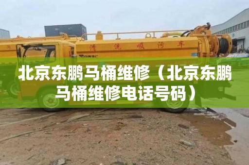 北京东鹏马桶维修（北京东鹏马桶维修电话号码）