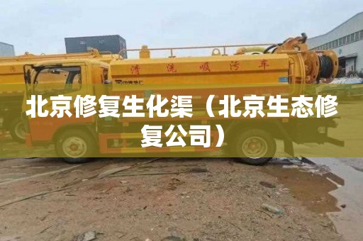 北京修复生化渠（北京生态修复公司）