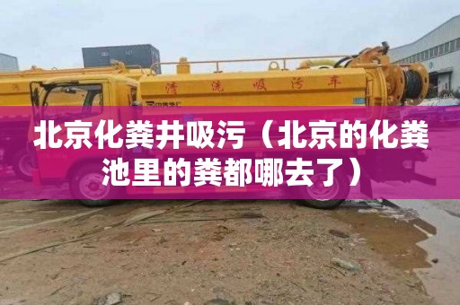 北京化粪井吸污（北京的化粪池里的粪都哪去了）