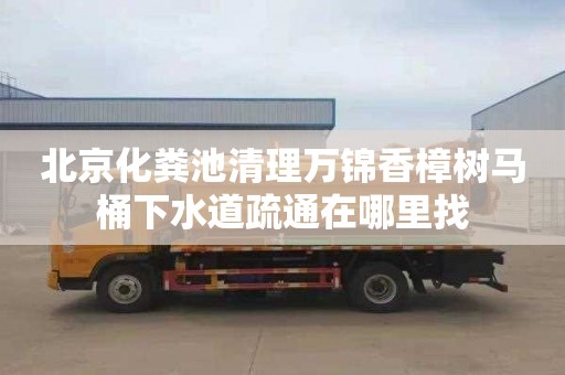 北京化粪池清理万锦香樟树马桶下水道疏通在哪里找