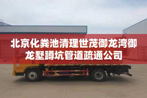 北京化粪池清理世茂御龙湾御龙墅蹲坑管道疏通公司
