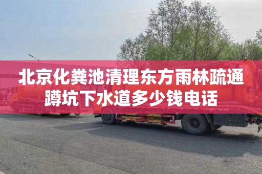 北京化粪池清理东方雨林疏通蹲坑下水道多少钱电话