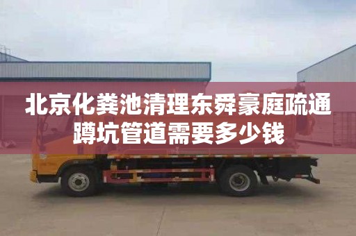 北京化粪池清理东舜豪庭疏通蹲坑管道需要多少钱