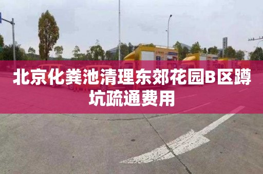 北京化粪池清理东郊花园B区蹲坑疏通费用