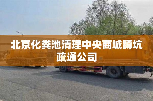 北京化粪池清理中央商城蹲坑疏通公司
