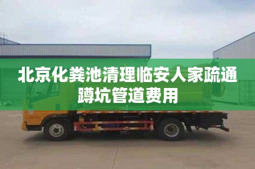 北京化粪池清理临安人家疏通蹲坑管道费用
