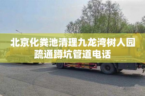 北京化粪池清理九龙湾树人园疏通蹲坑管道电话