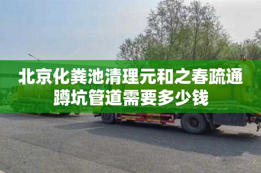 北京化粪池清理元和之春疏通蹲坑管道需要多少钱