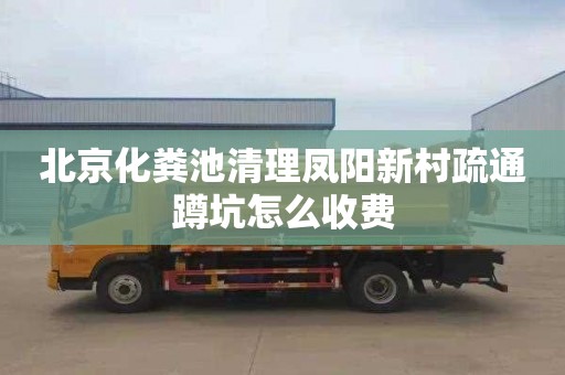 北京化粪池清理凤阳新村疏通蹲坑怎么收费