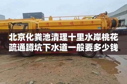北京化粪池清理十里水岸桃花疏通蹲坑下水道一般要多少钱