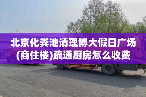 北京化粪池清理博大假日广场(商住楼)疏通厨房怎么收费