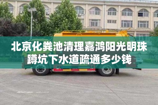 北京化粪池清理嘉鸿阳光明珠蹲坑下水道疏通多少钱