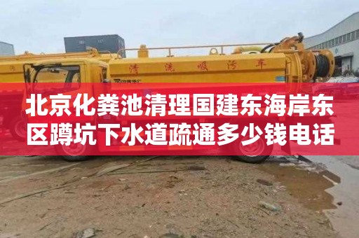 北京化粪池清理国建东海岸东区蹲坑下水道疏通多少钱电话
