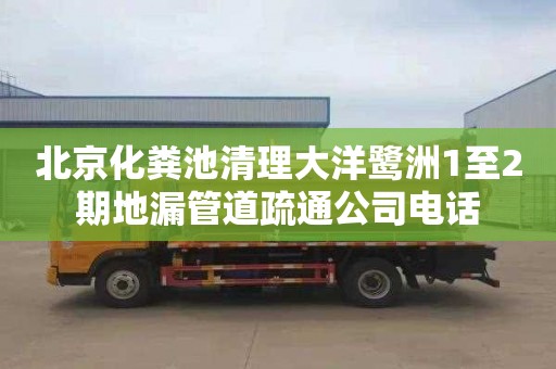 北京化粪池清理大洋鹭洲1至2期地漏管道疏通公司电话