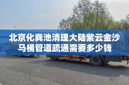 北京化粪池清理大陆紫云金沙马桶管道疏通需要多少钱