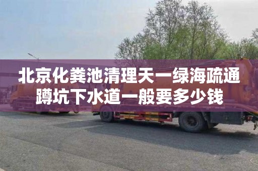 北京化粪池清理天一绿海疏通蹲坑下水道一般要多少钱