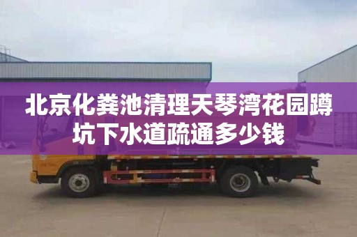 北京化粪池清理天琴湾花园蹲坑下水道疏通多少钱