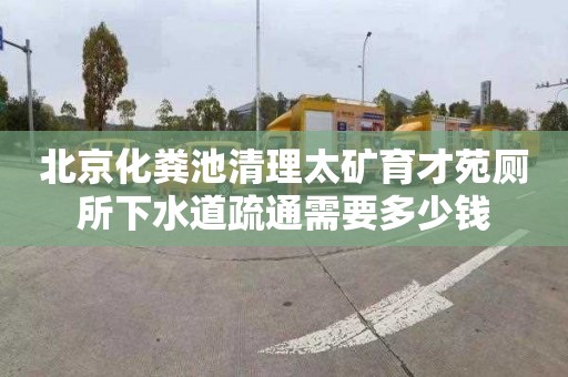 北京化粪池清理太矿育才苑厕所下水道疏通需要多少钱