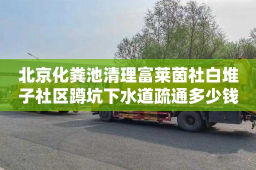 北京化粪池清理富莱茵社白堆子社区蹲坑下水道疏通多少钱